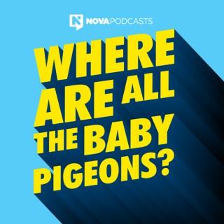 Where Are All The Baby Pigeons?