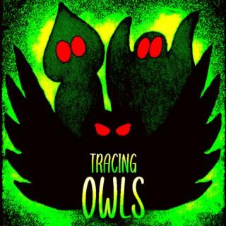 Tracing Owls