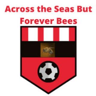 Across the Seas but Forever Bees - An American Brentford Podcast