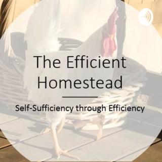 The Efficient Homestead