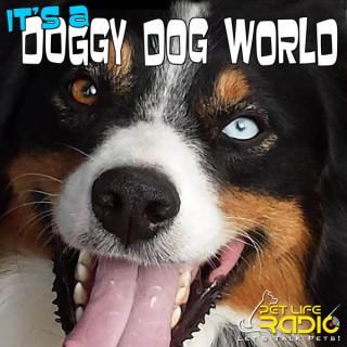 It's A Doggy Dog World - All about dogs as pets & caring for your pet dog, - Pets & Animals on Pet Life Radio (PetLifeRadio.c
