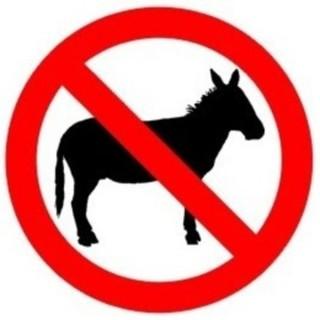 JinCAST - No Donkeys (Prank Call Podcast)