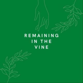 Remaining In The Vine