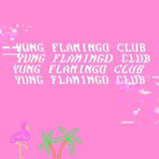 Yung Flamingo Club