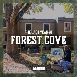 The Last Year at Forest Cove