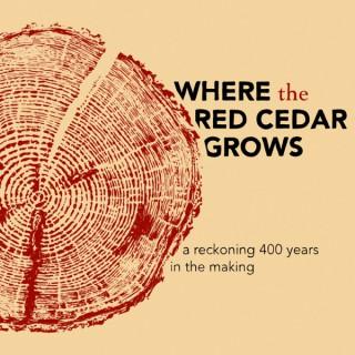 Where the Red Cedar Grows