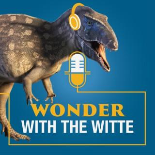 Wonder with the Witte