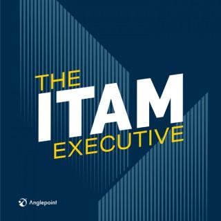 The ITAM Executive: A Podcast for IT Asset Management Professionals