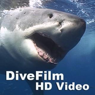 DiveFilm HD Video
