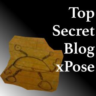 Top Secret Blog X