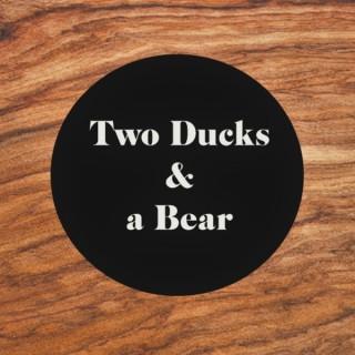 Two Ducks & a Bear