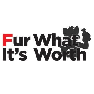Episodes – Fur What It's Worth