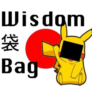 Wisdom Bag