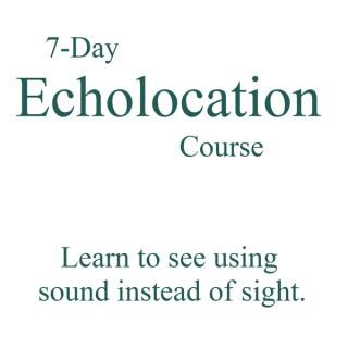 Beginner's Guide to Echolocation » Audio Lessons