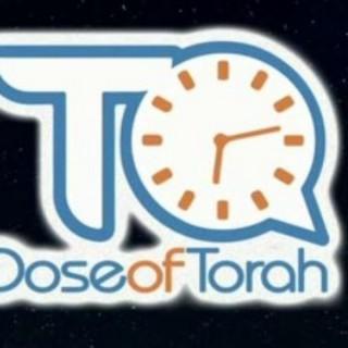 Daily Dose of TorahAnytime
