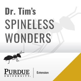 Dr. Tim's Spineless Wonders