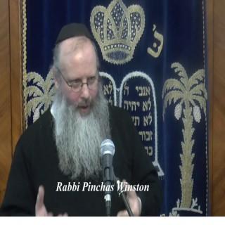 Drowning In Pshat With Rabbi Pinchas Winston