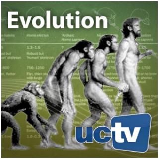 Evolution (Video)