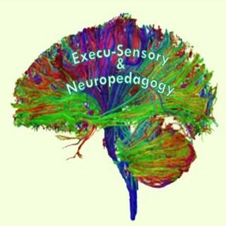Execu-Sensory & Neuropedagogy Educational Consulting Services » Podcasts