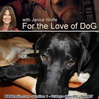 For the Love of Dog with Janice Wolfe