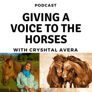 Giving A Voice To The Horses