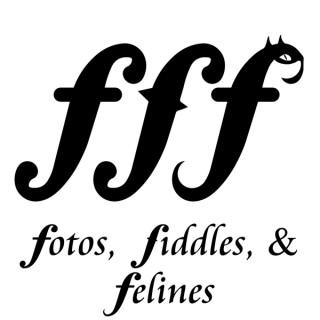 Fotos, Fiddles, & Felines