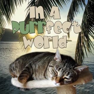 In A Purrfect World - a perfect world for cats on Pet Life Radio (PetLifeRadio.com)