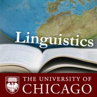 Linguistics (video)