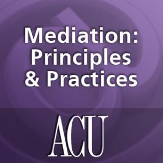 Mediation: Principles and Practices