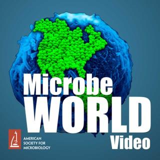 MicrobeWorld Video (audio only)