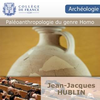 Paléoanthropologie du genre Homo