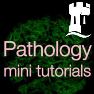 Pathology mini tutorials