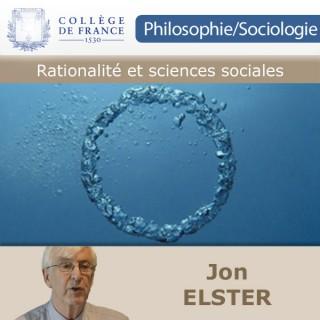 Rationalité et sciences sociales