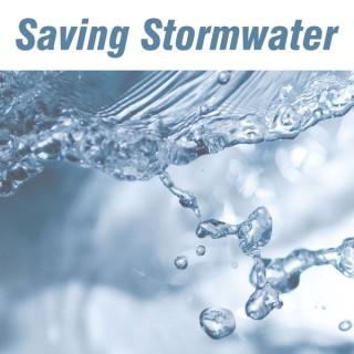 Saving Stormwater