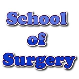 School of Surgery