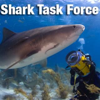 Shark Task Force