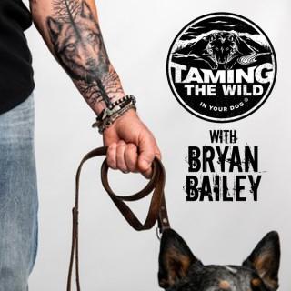 Taming the WILD in Your Dog