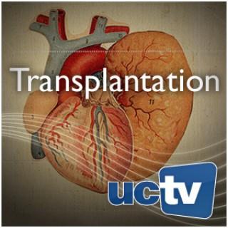 Transplantation (Video)