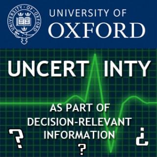 Uncertainty as part of decision-relevant information