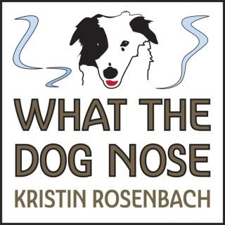 What The Dog Nose
