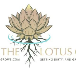 Where The Lotus Grows