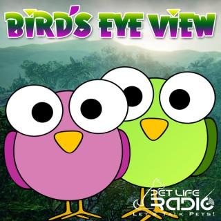 Bird's Eye View on Pet Life Radio (PetLifeRadio.com)