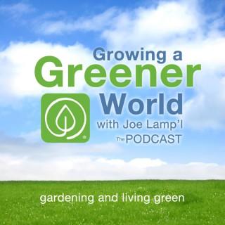 Growing A Greener World with Joe Lamp'l