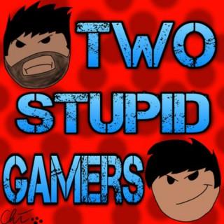 Two Stupid Gamers