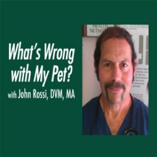 What’s Wrong with My Pet? – John Rossi,DVM,MA