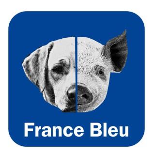 Meitat chen, meitat porc - France Bleu Périgord