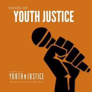 Voices of Youth Justice