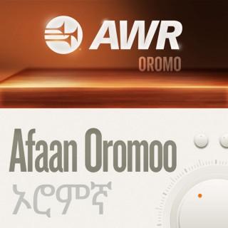 AWR Oromo / Afaan Oromoo / Oromiffa / ????