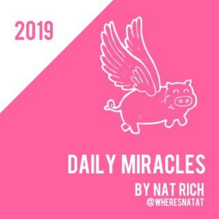 Daily Miracles by Nat Rich