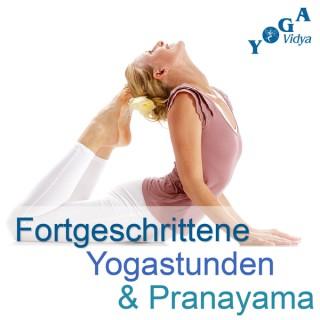 Fortgeschrittene Yogastunden und Pranayama